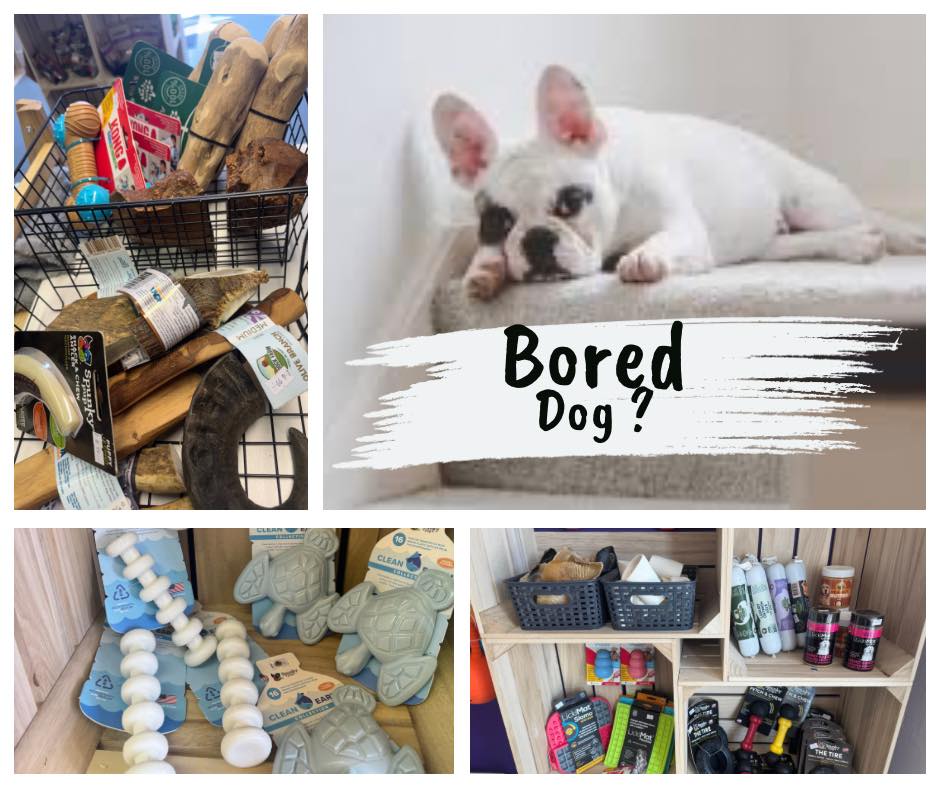 Treats, toys and essentials